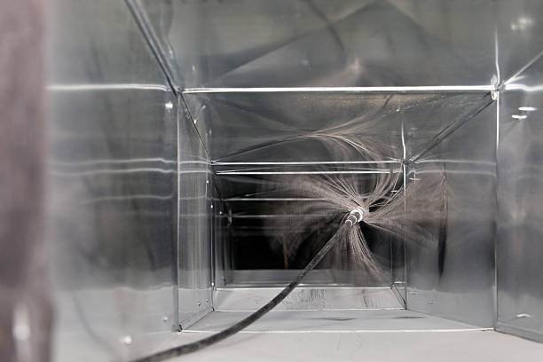 Air Duct Mold Removal in Parkville, PA