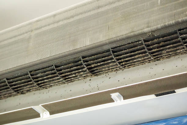 Best Duct Cleaning for Homes  in Rkville, PA
